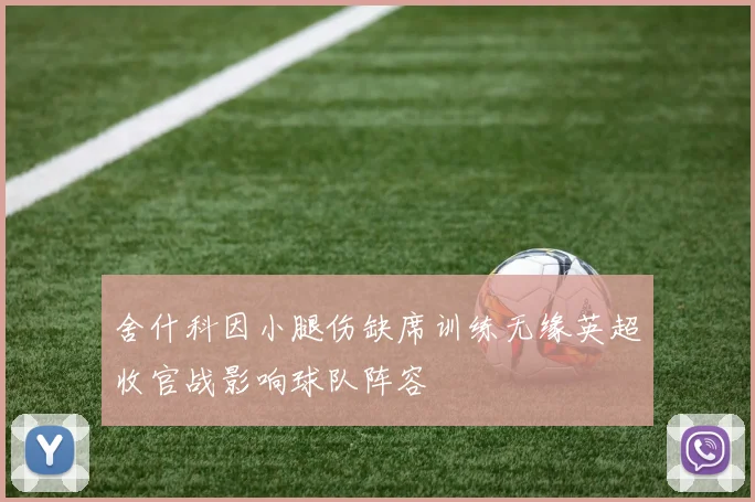 舍什科因小腿伤缺席训练无缘英超收官战影响球队阵容