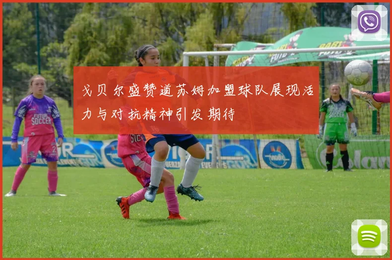 戈贝尔盛赞道苏姆加盟球队展现活力与对抗精神引发期待